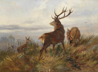 Carl Friedrich Deiker - Rotwild in der Morgendmmerung.webp