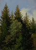 Alberi di Natale - Carl Gustav Carus — vista dell’opera