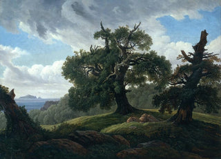 Carl Gustav Carus - Memory of a Wooded Island in the Baltic Sea.webp