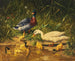Anatre con anatroccoli sul bordo dell'acqua - Carl Jutz — vista dell’opera