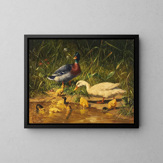 Carl Jutz - Enten mit Jungen am Wasser.webp