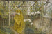 La Vigne - Carl Larsson — vista dell’opera