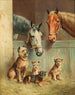 Amitié animale - Carl Reichert — vista dell’opera