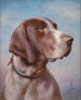 Ritratto di cane - Carl Reichert — vista dell’opera
