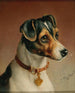 Ritratto di un Jack Russell Terrier - Carl Reichert — vista dell’opera