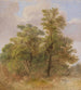 Studio degli alberi - Carl Spitzweg — vista dell’opera