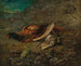 Natura morta con fagiano e beccaccia - Carl Spitzweg — vista dell’opera