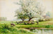 Paesaggio pastorale - Carl Weber — vista dell’opera