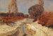 Donauau - Carl Weiss — vista dell’opera