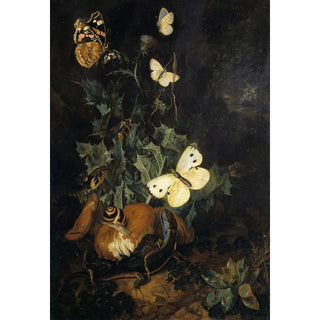 Carl Wilhelm De Hamilton - Still Life With Butterflies Lizard And Snake.webp