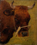 Studio della testa di una mucca - Carlo Dalgas — vista dell’opera