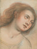 Studio per una testa di donna - Carlo Francesco Nuvolone — vista dell’opera