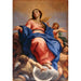 Immacolata Concezione - Carlo Maratti — vista dell’opera