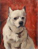 Il cane cinese - Carolus-Duran — vista dell’opera
