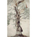 Studio di un albero - Caspar Scheuren — vista dell’opera