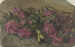 Rhododendrons - Cella Thoma — vista dell’opera