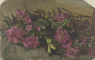 Cella Thoma - Alpenroses.webp