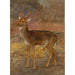 Riproduzione del dipinto Cervi - Rosa Bonheur