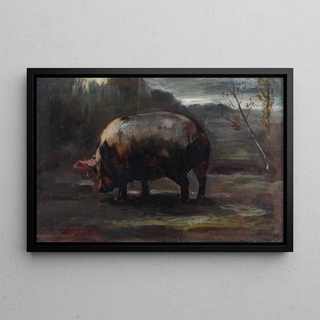 Cesare Viazzi - Studio di maialino.webp