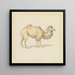 Cammello russo - Samuel Howitt — quadro incorniciato alla parete