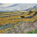 Riproduzione del dipinto Champ chiuso con contadino - Vincent van Gogh