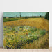 Riproduzione del dipinto Campo di grano - Vincent van Gogh
