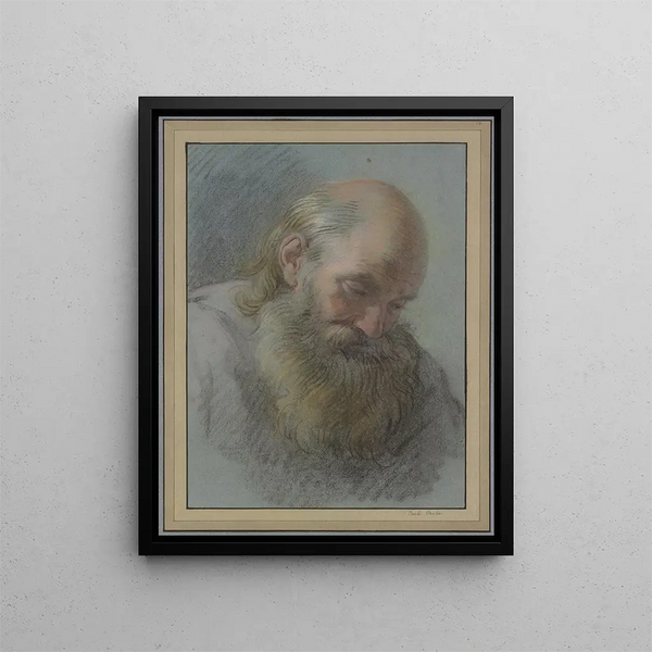 Testa di un vecchio barbuto - Charles André van Loo — quadro incorniciato alla parete