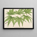 Acer palmatum reticulatum - Charles Antoine Lemaire — quadro incorniciato alla parete