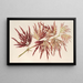 Acer polymorphum palmatum - Charles Antoine Lemaire — quadro incorniciato alla parete
