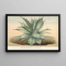 Agave Verschaffelti - Charles Antoine Lemaire — quadro incorniciato alla parete