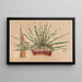 Agave schidigera - Charles Antoine Lemaire — quadro incorniciato alla parete