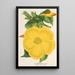 Allamanda nobilis - Charles Antoine Lemaire — quadro incorniciato alla parete