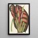 Alocasia metallica - Charles Antoine Lemaire — quadro incorniciato alla parete