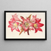 Amaryllis Belladonna - Charles Antoine Lemaire — quadro incorniciato alla parete