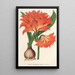 Amaryllis Hippeastrum Alberti - Charles Antoine Lemaire — quadro incorniciato alla parete