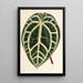 Riproduzione del dipinto Anthurium crystallinum - Charles Antoine Lemaire