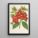 Riproduzione del dipinto Aucuba japonica Thunb en fruits - Charles Antoine Lemaire