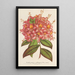 Azalée Bouquet de Flore Hort Versch - Charles Antoine Lemaire — quadro incorniciato alla parete