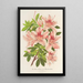 Azalée indica hybrida Charles Enke - Charles Antoine Lemaire — quadro incorniciato alla parete