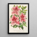 Riproduzione del dipinto Azalea indica hybrida Madame Verschaffelt - Charles Antoine Lemaire