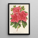 Azalea indica hybrida Madame Wagner - Charles Antoine Lemaire — quadro incorniciato alla parete
