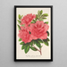Azalea indica hybrida William Bull - Charles Antoine Lemaire — quadro incorniciato alla parete
