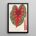 Riproduzione del dipinto Caladium Duc Adolphe de Nassau - Charles Antoine Lemaire