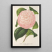Riproduzione del dipinto Camellia Archiduc Étienne - Charles Antoine Lemaire