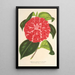 Riproduzione del dipinto Camellia Cariotta Peloso ibrido - Charles Antoine Lemaire
