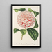 Riproduzione del dipinto Camellia Contessa Lavinia Maggi - Charles Antoine Lemaire