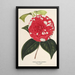 Camellia Giardino Santarelli - Charles Antoine Lemaire — quadro incorniciato alla parete
