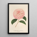 Riproduzione del dipinto Camellia Giardino Schmitz - Charles Antoine Lemaire