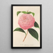 Camellia Isabella Orsini Franchetti - Charles Antoine Lemaire — quadro incorniciato alla parete
