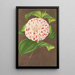 Camellia Madame Verschaffelt - Charles Antoine Lemaire — quadro incorniciato alla parete